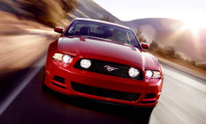 Ford Mustang Photo 2270