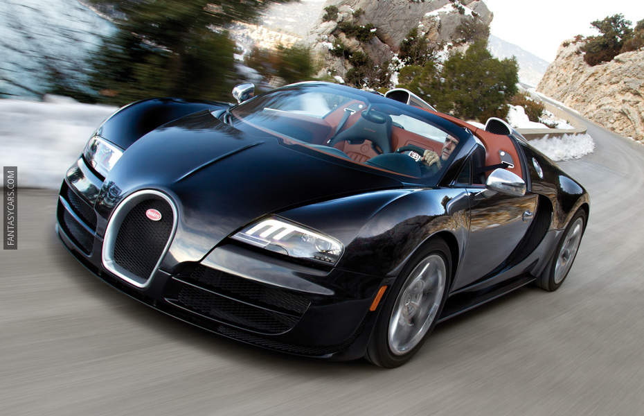 Bugatti Veyron Photo 3019
