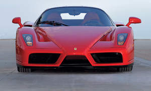Ferrari Enzo Photo 3298