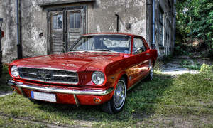 Ford Mustang Photo 2249
