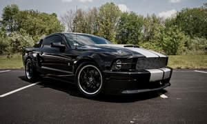 Ford Mustang Photo 2275