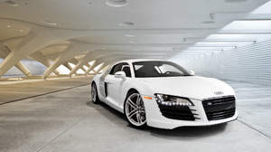 Audi R8 Photo 2903