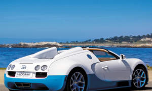 Bugatti Veyron Photo 3014