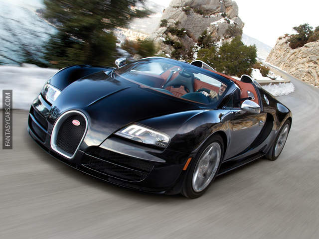 Bugatti Veyron Photo 3019