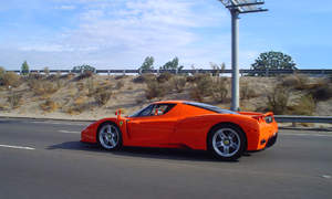 Ferrari Enzo Photo 3283