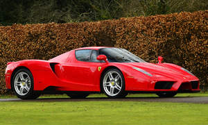 Ferrari Enzo Photo 3291