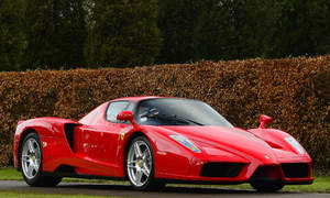 Ferrari Enzo Photo 3294