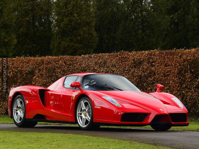 Ferrari Enzo Photo 3294