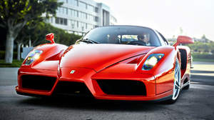 Ferrari Enzo Photo 3296