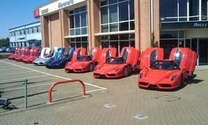 Ferrari Enzo Photo 3302