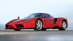 Ferrari Enzo Photo 3304