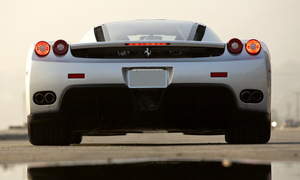 Ferrari Enzo Photo 3306