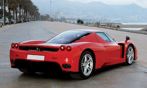 Ferrari Enzo Photo 3308