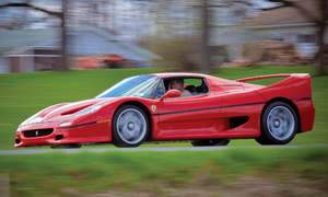 Ferrari F50 Photo 2218