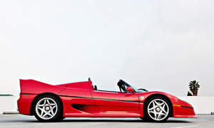 Ferrari F50 Photo 2229