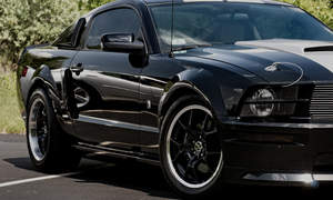 Ford Mustang Photo 2248