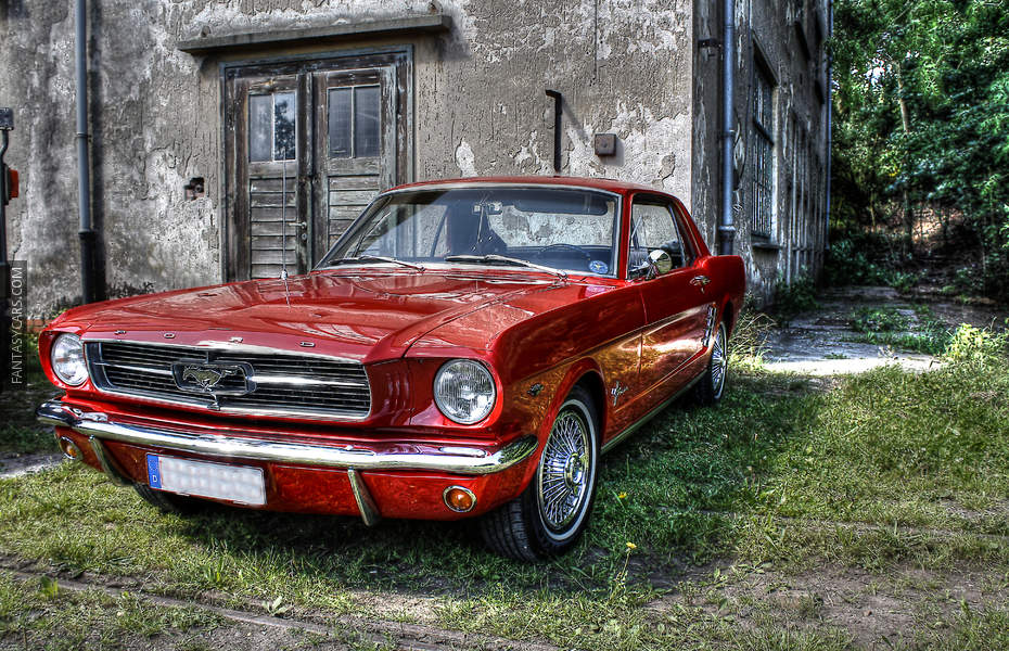Ford Mustang Photo 2249