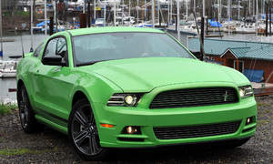 Ford Mustang Photo 2260