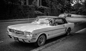 Ford Mustang Photo 2261