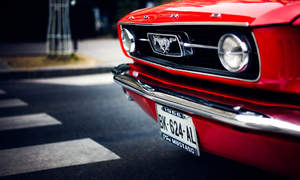 Ford Mustang Photo 2263