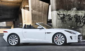 Jaguar F-Type Photo 3373