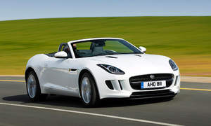 Jaguar F-Type Photo 3383