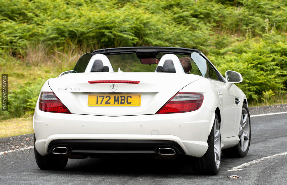 Mercedes SLK Photo 2504